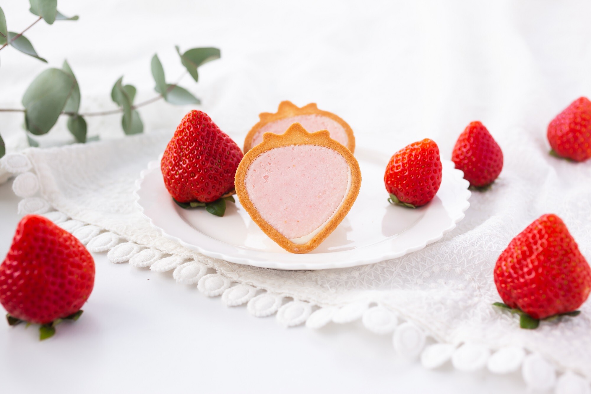 風美庵 苺のワルツ あまおうチョコタルト 2個入