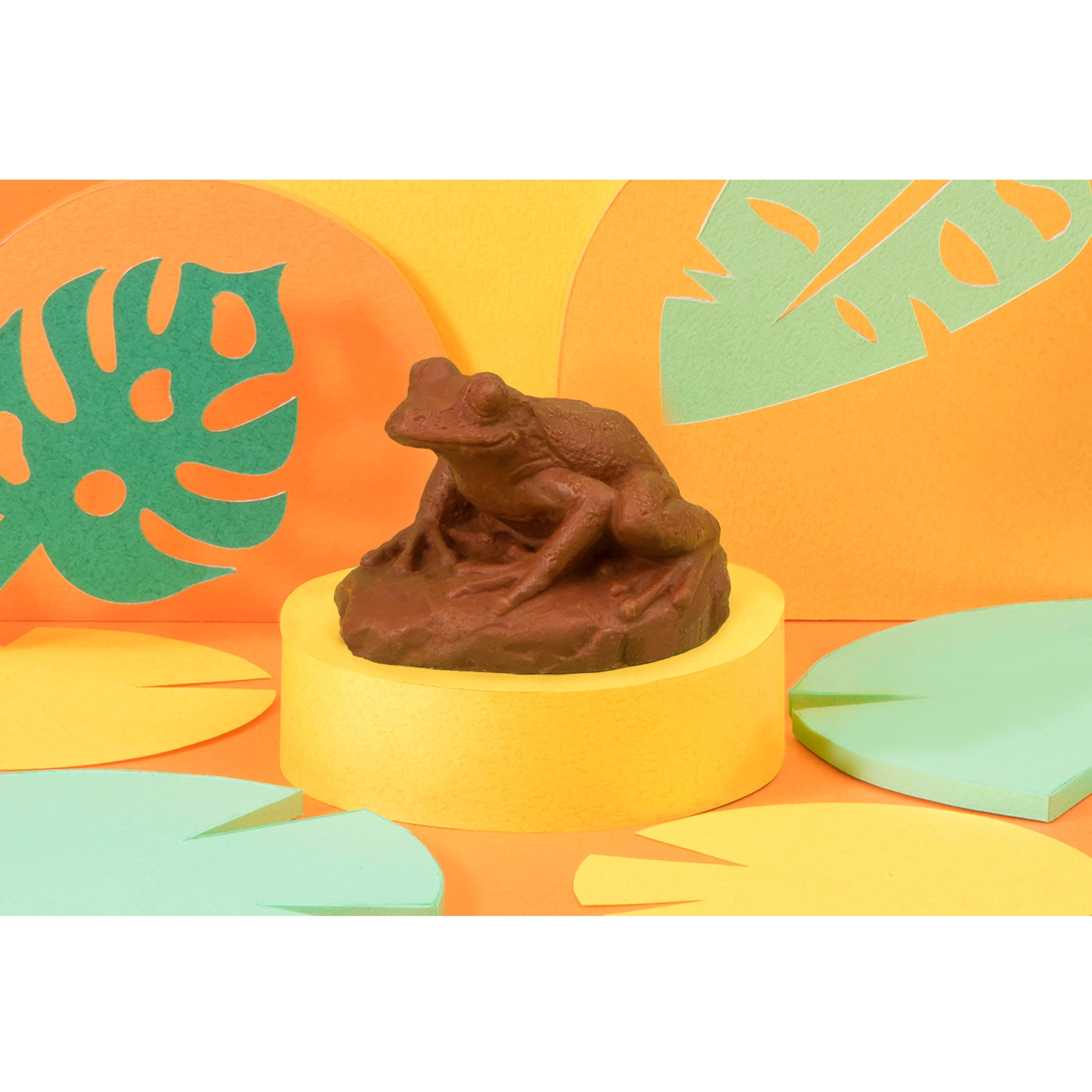 ZOOLOGY カエル（ヒキガエル／カジカガエル）