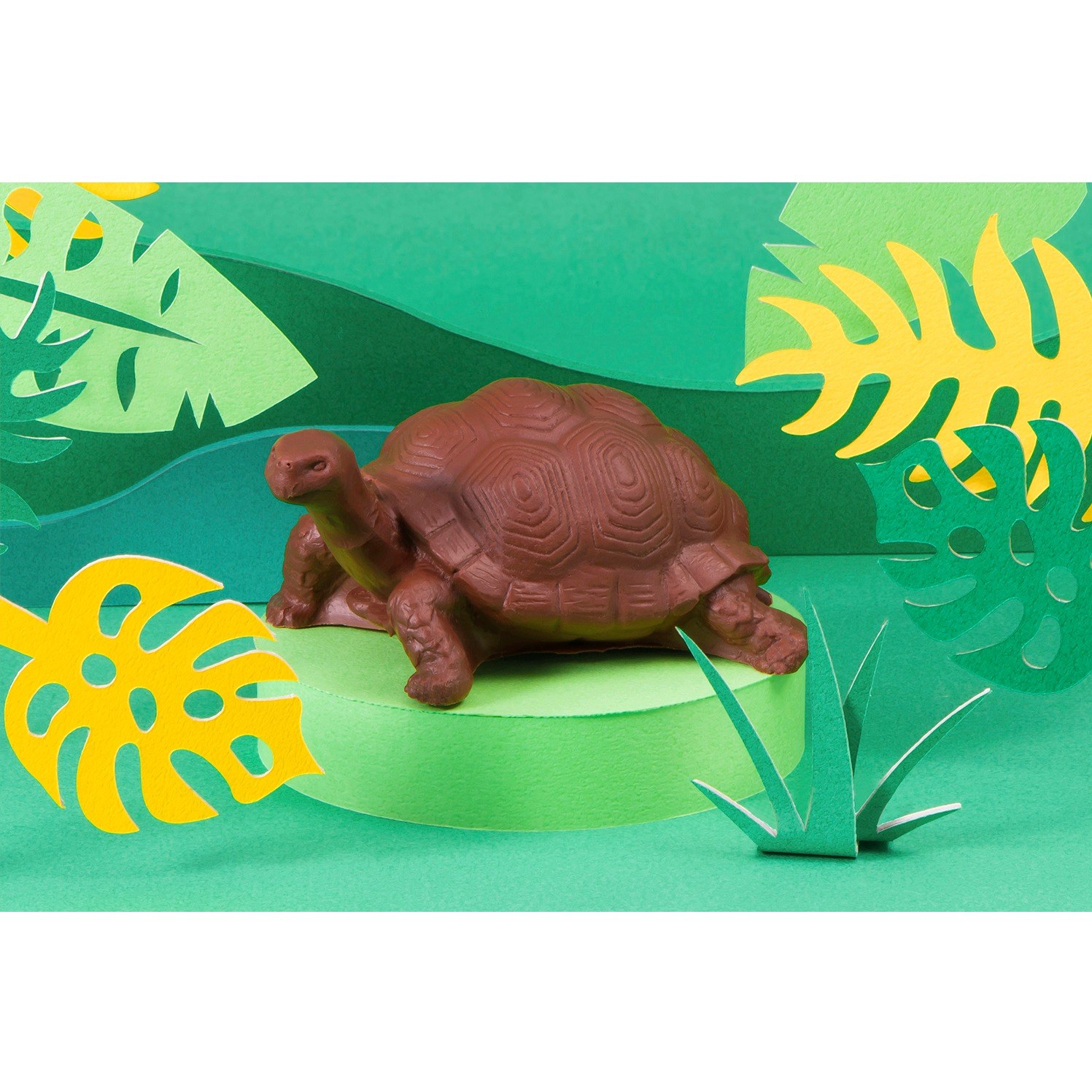 ZOOLOGY ゾウガメ