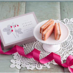 風美庵 苺きらら 